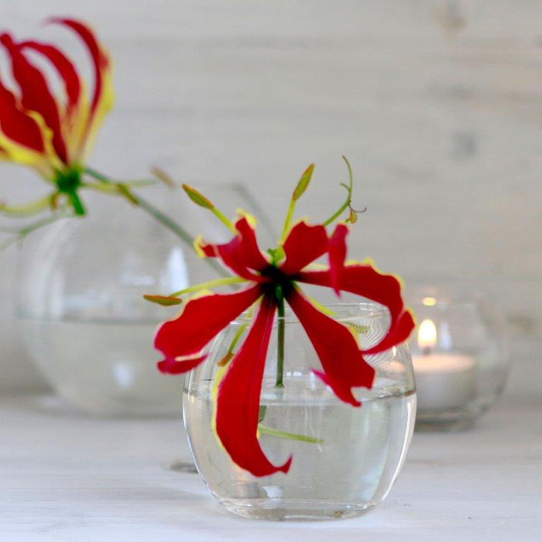 Kleine Kugelvase - Kugelglas - Windlicht - Dessert im Glas