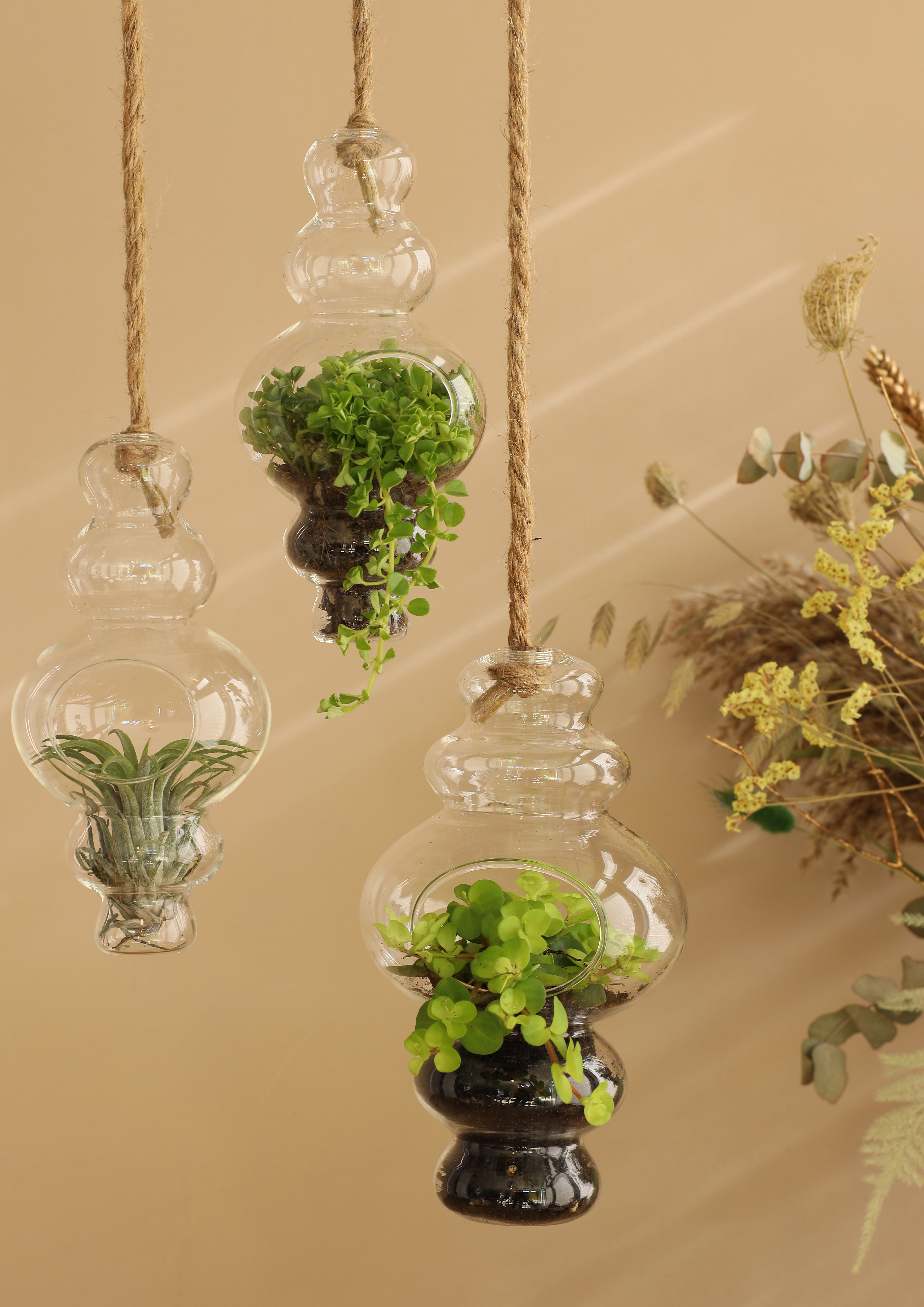 Vase - Terrarium "Alisa" mit Seil zum Hängen