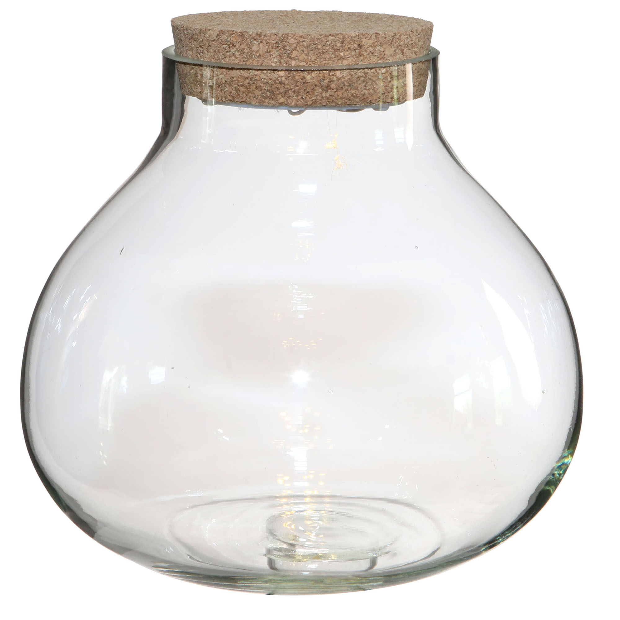 Pflanz-Terrarium mit Korken und LED-Beleuchtung