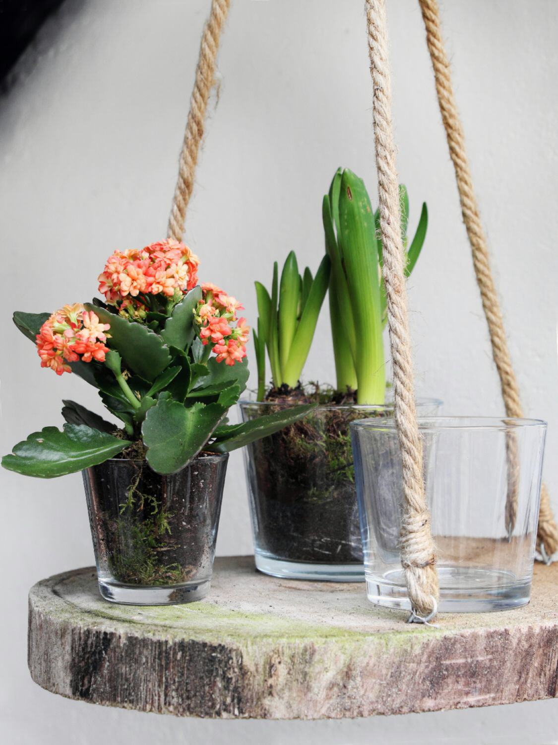 12 x Windlichter Lilly aus Glas, konisch Ø 10 cm H 9 cm