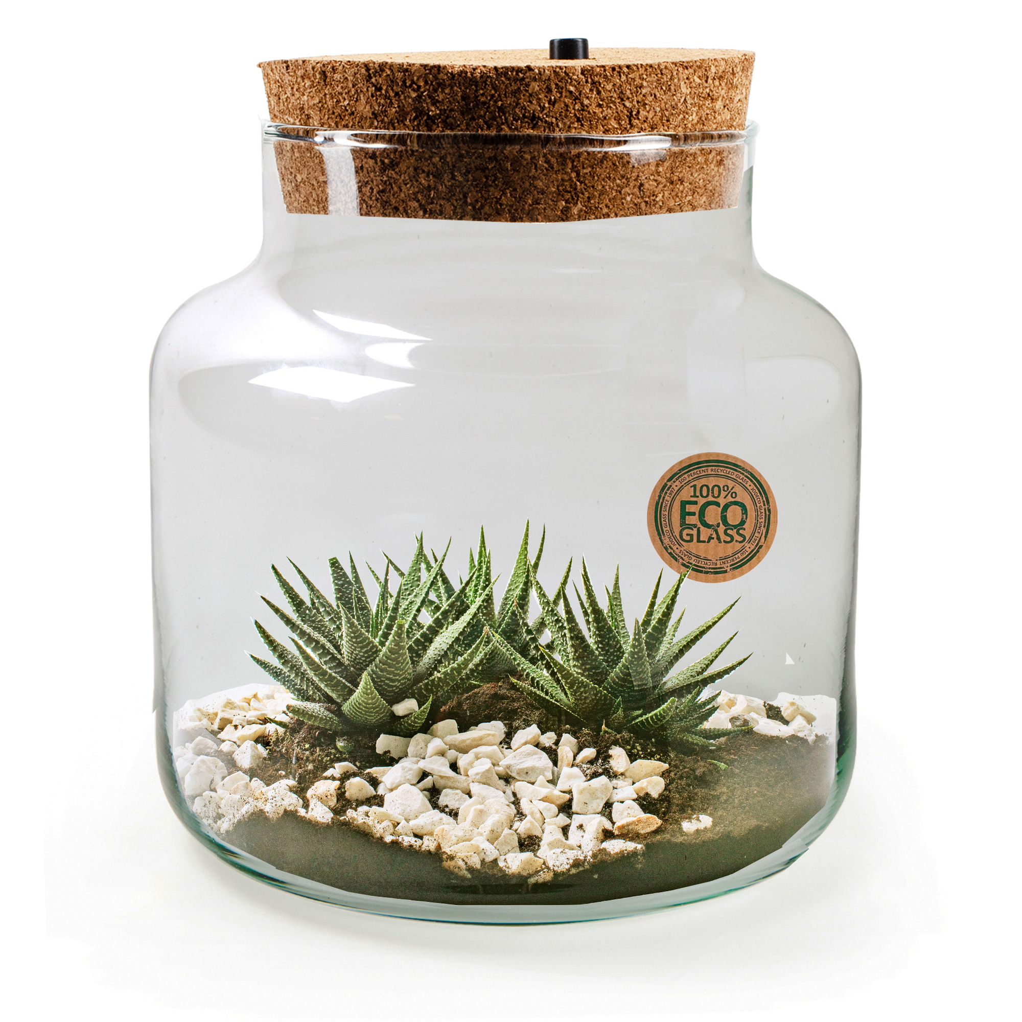 Pflanz-Terrarium mit Korken und LED-Beleuchtung