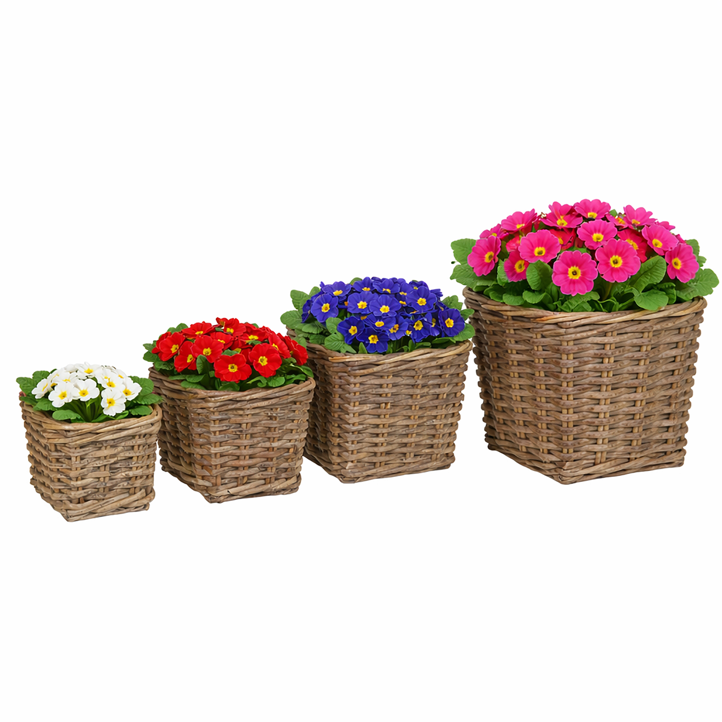 4-tlg. Set Pflanzkörbe "Amelie" aus Weide in quadratischer Form mit Folie