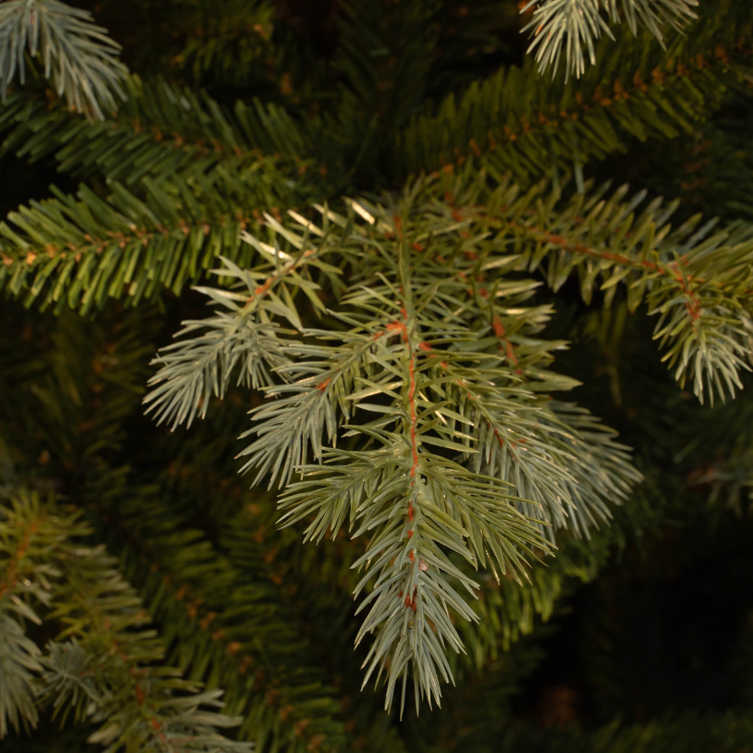 Großer künstlicher Weihnachtbaum - naturgetreu - 185 cm oder 215 cm