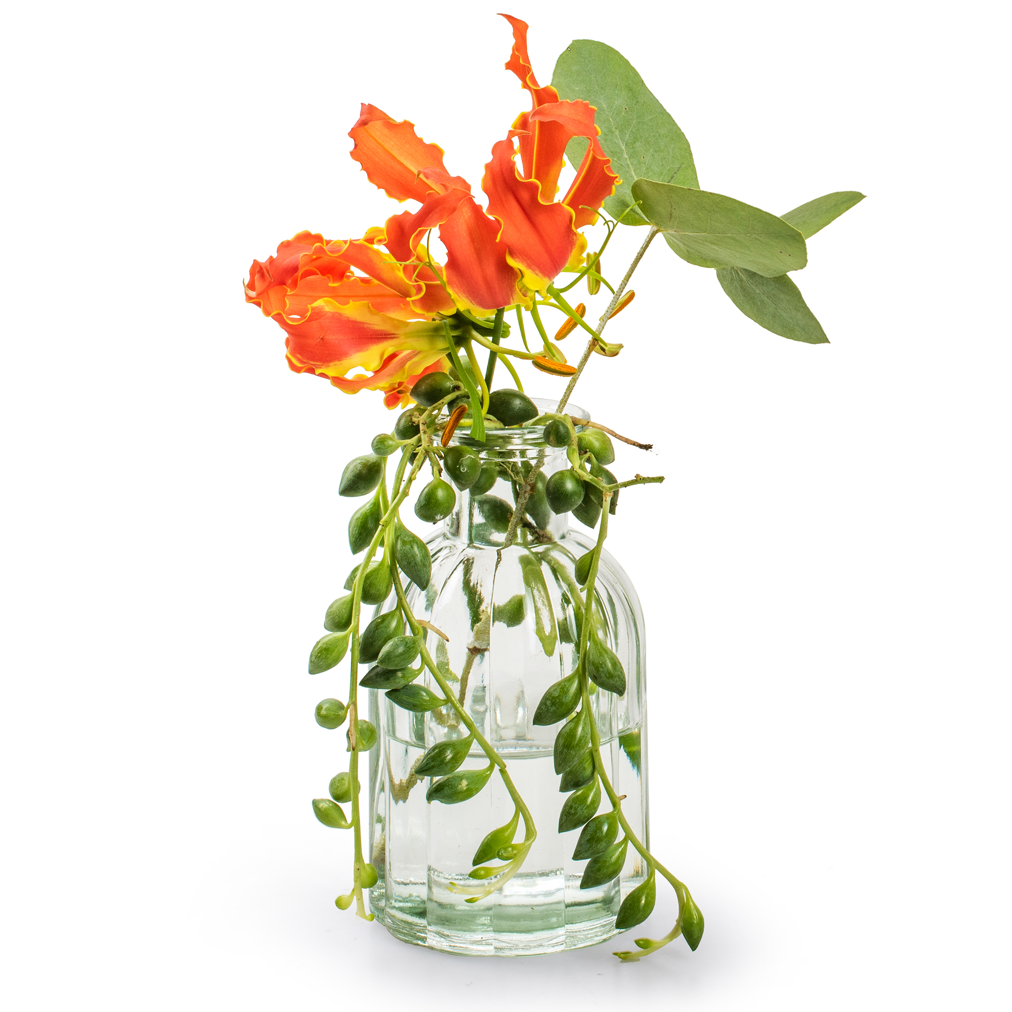 6 x Vasen aus Glas in geriffelter Optik, klar H 10,5 cm - Ø 5,5 cm