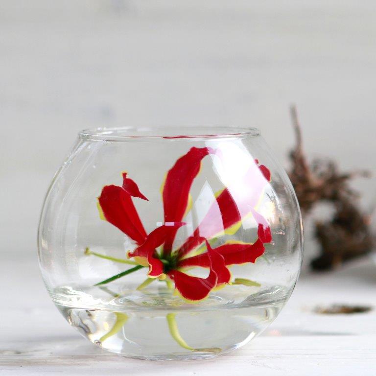 Kleine Kugelvase - Kugelglas - Windlicht - Dessert im Glas