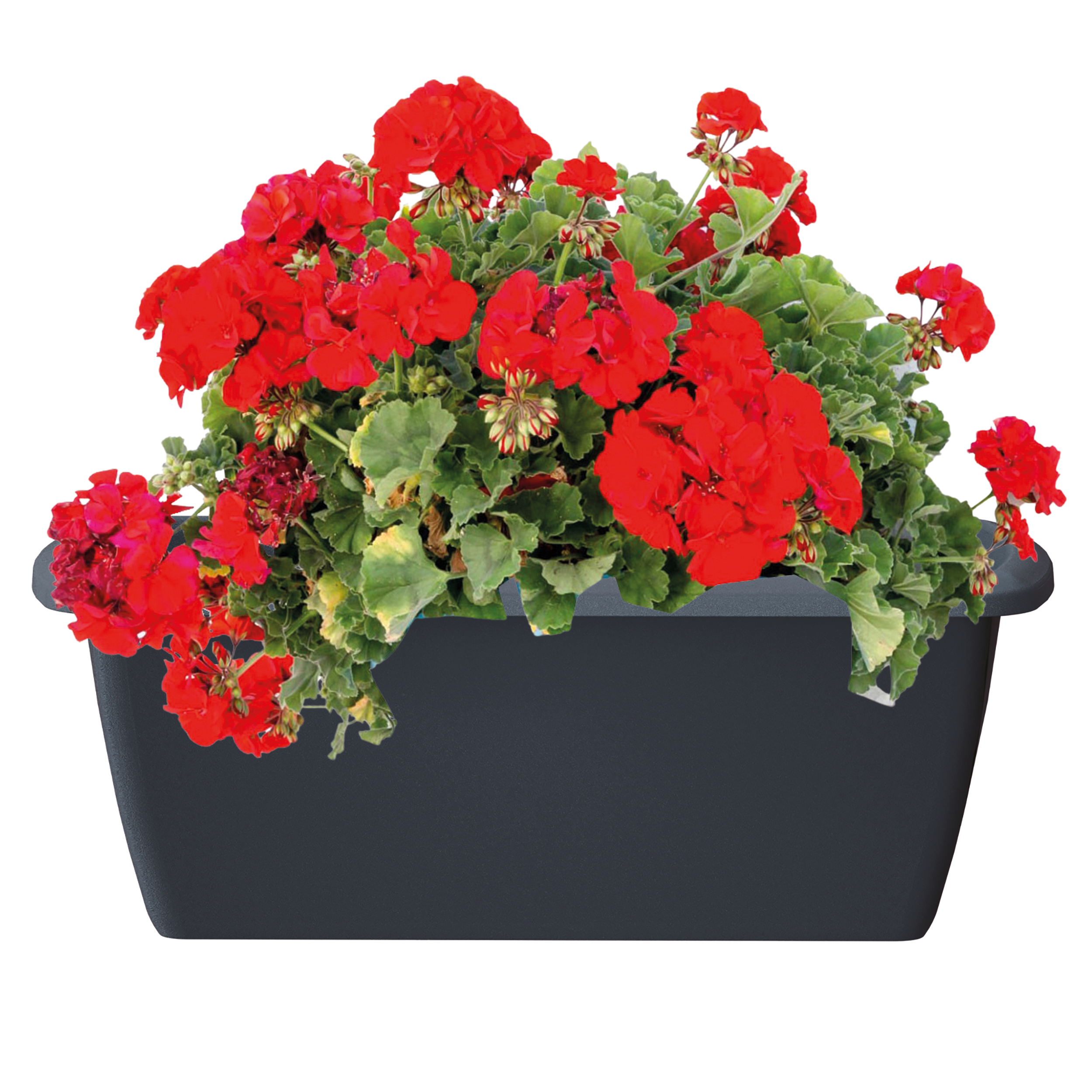 Blumenkasten aus wetterfestem Kunststoff - Modell Respana