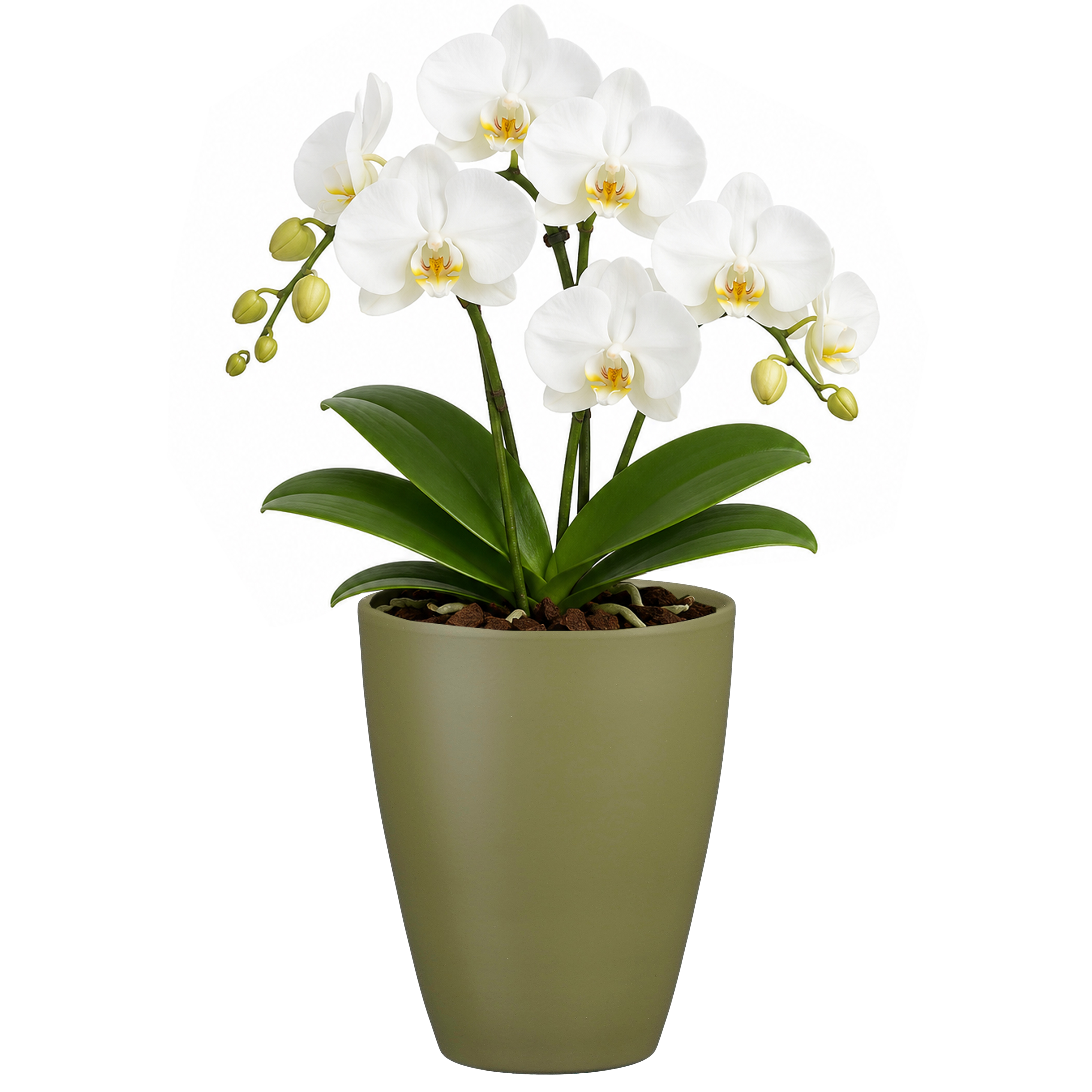 3 x Orchideentöpfe "TUSCA"  - H 17 cm - Ø 13,5 cm