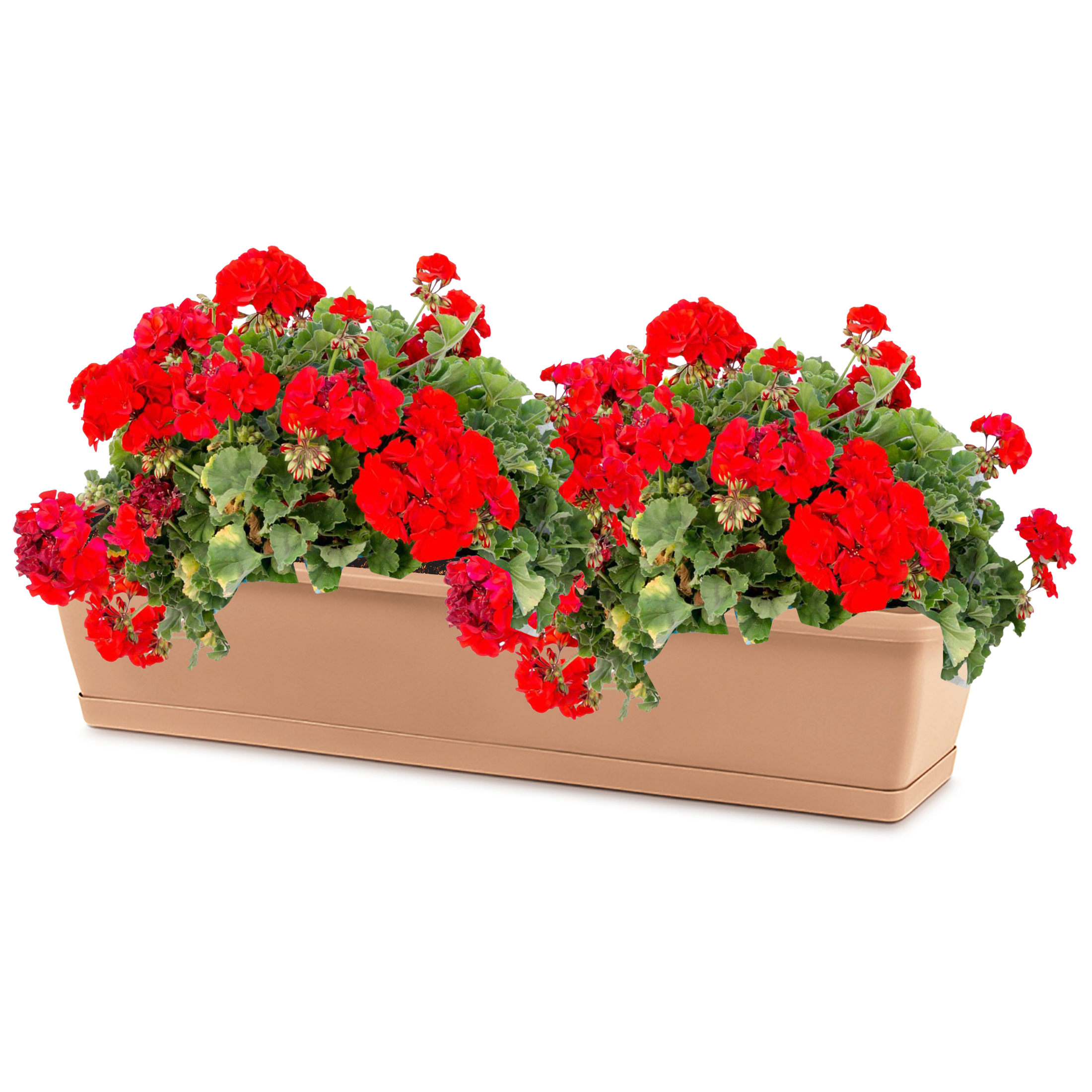 Blumenkasten aus wetterfestem Kunststoff - Modell Respana