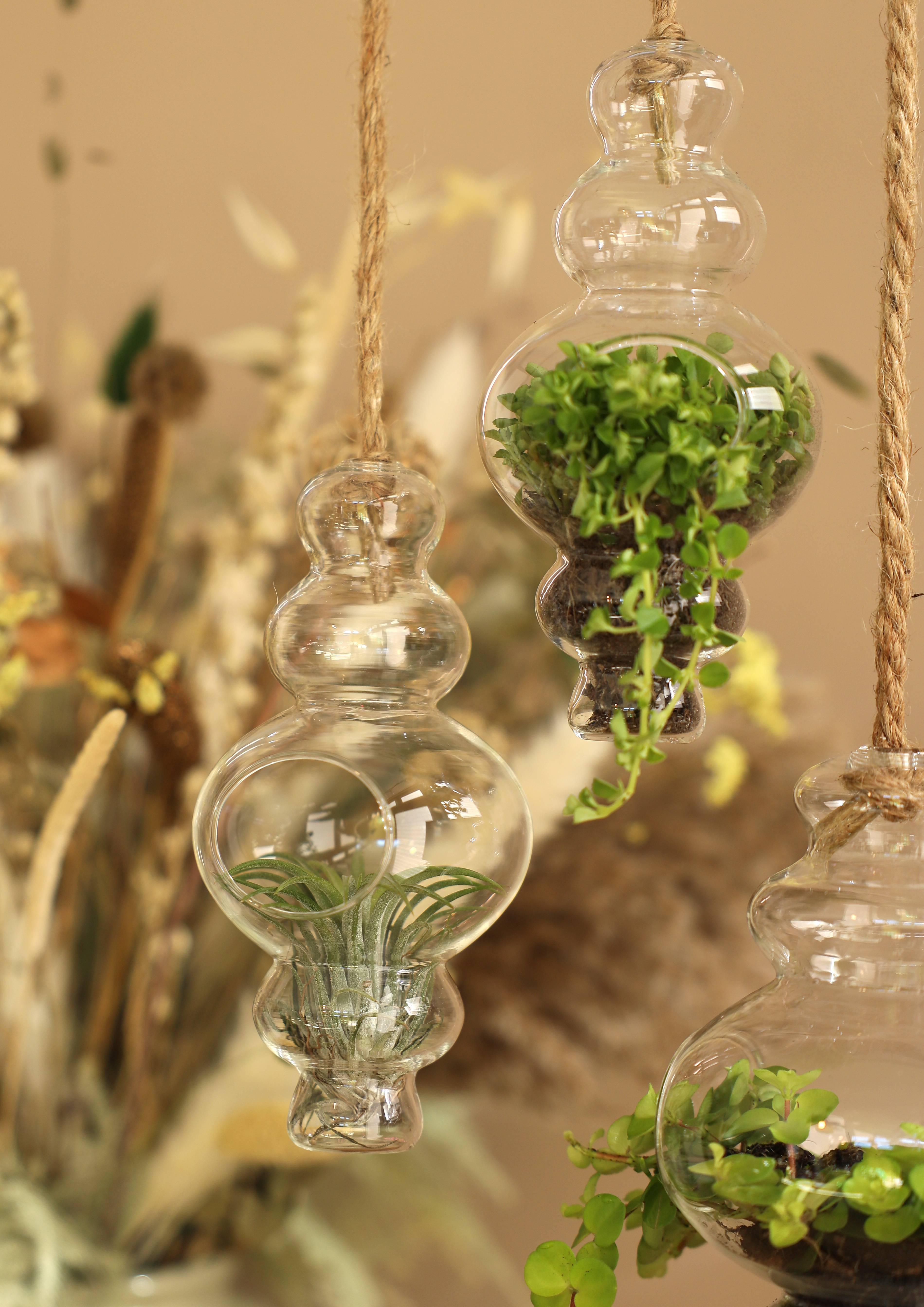 Vase - Terrarium "Alisa" mit Seil zum Hängen