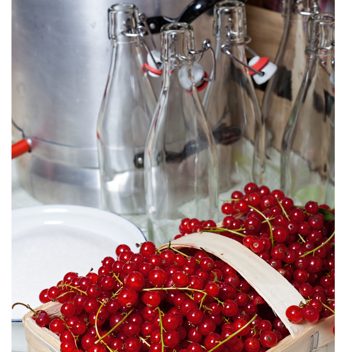 12 Stück Flaschen mit Bügelverschluß 250 ml