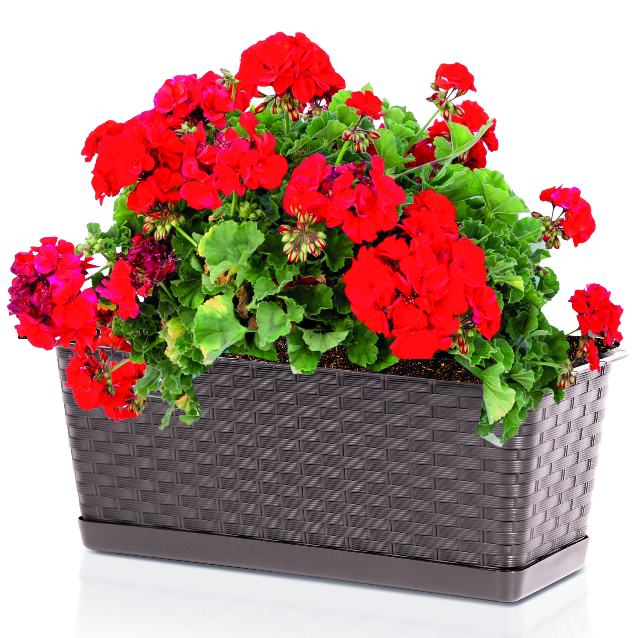 Blumenkasten aus Kunststoff - wetterfest - Modell Ratolla Set