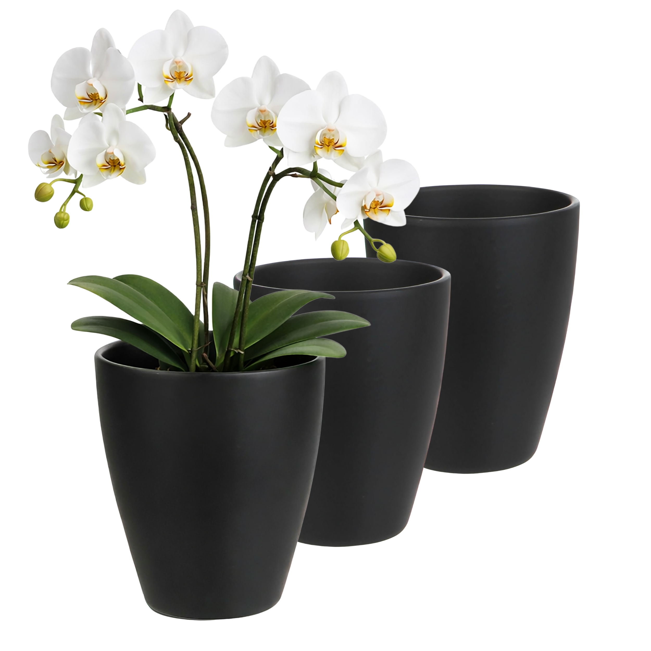 3 x Orchideentöpfe "TUSCA"  - H 17 cm - Ø 13,5 cm