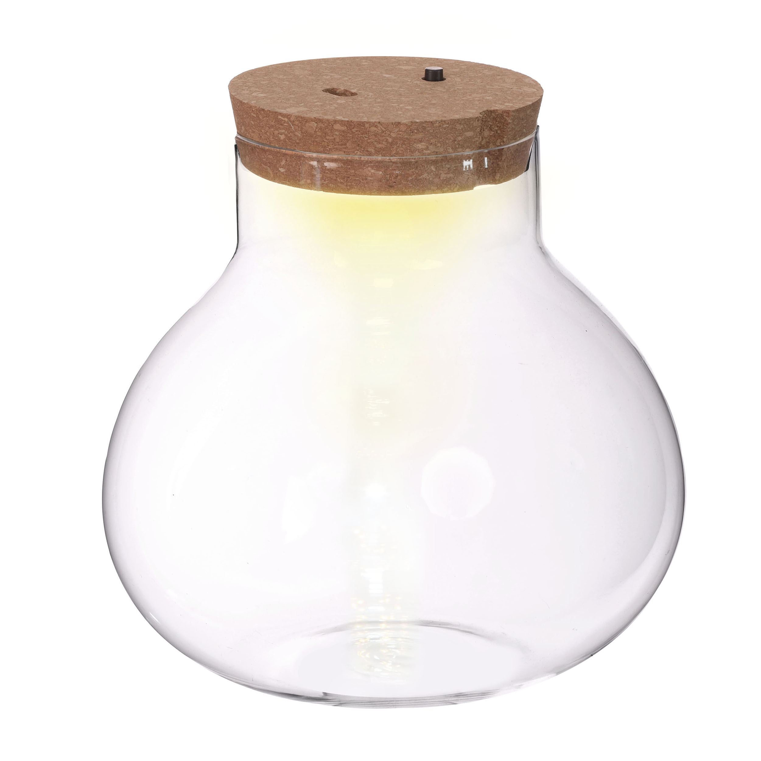 Pflanz-Terrarium mit Korken und LED-Beleuchtung
