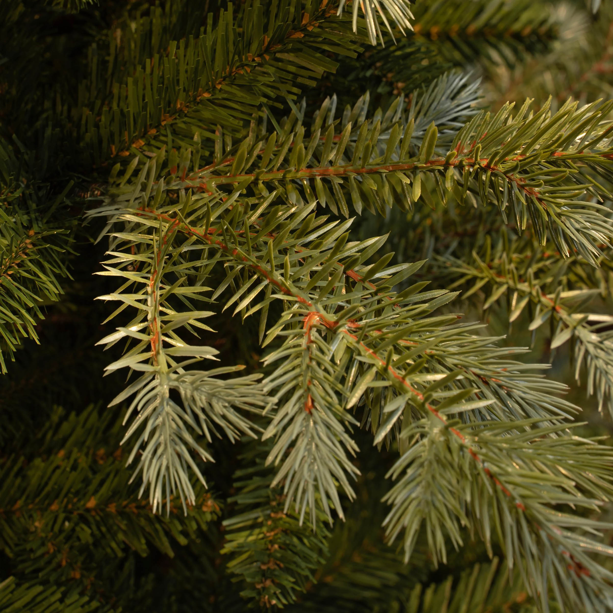 Großer künstlicher Weihnachtbaum - naturgetreu - 185 cm oder 215 cm