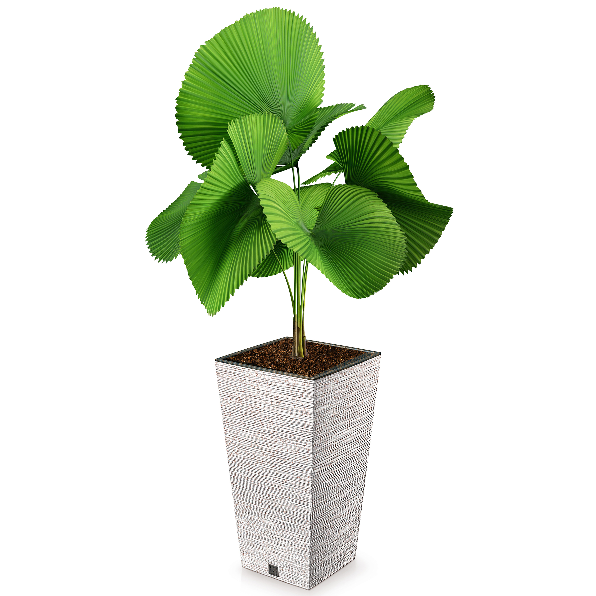 eco-Weiß