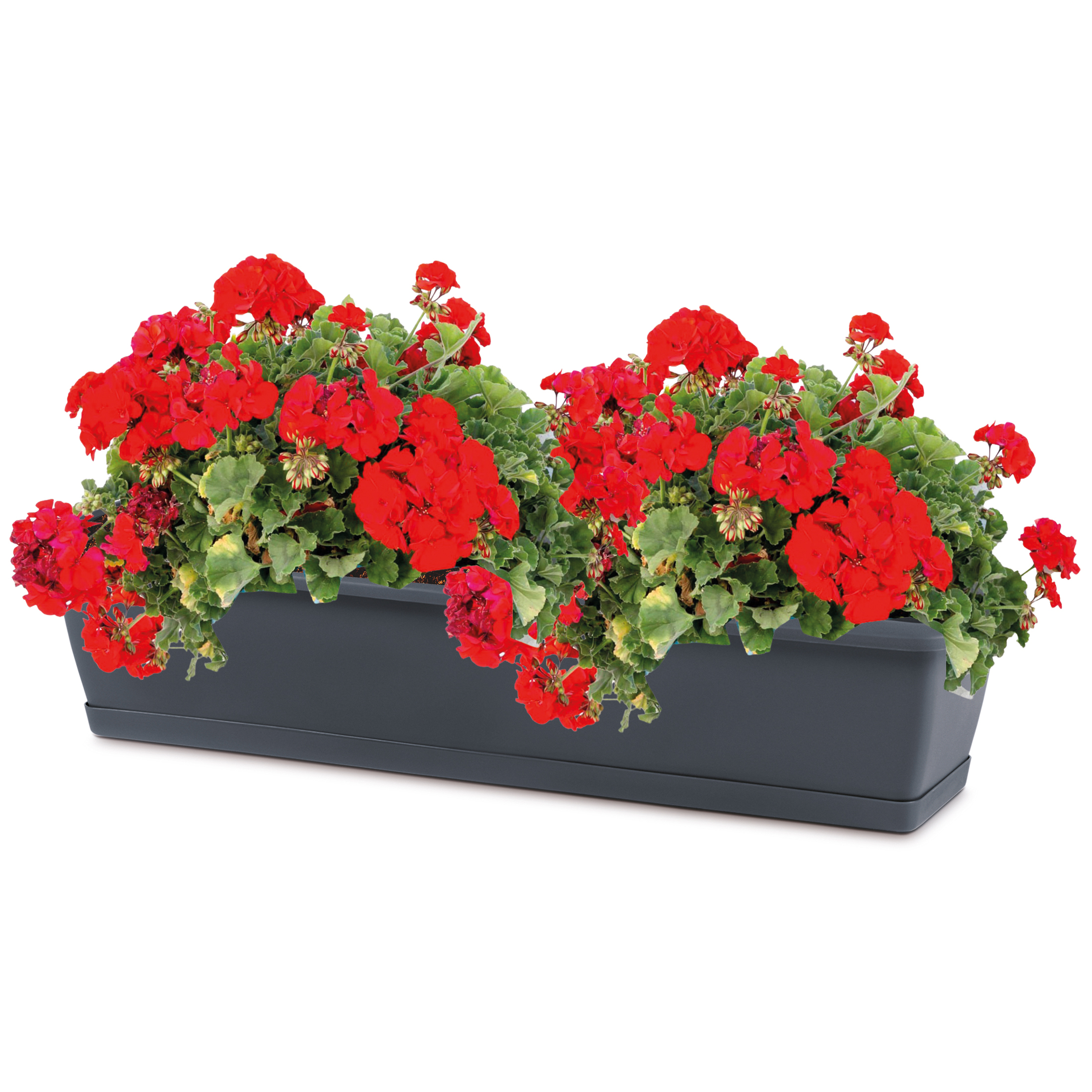 Blumenkasten aus wetterfestem Kunststoff - Modell Respana