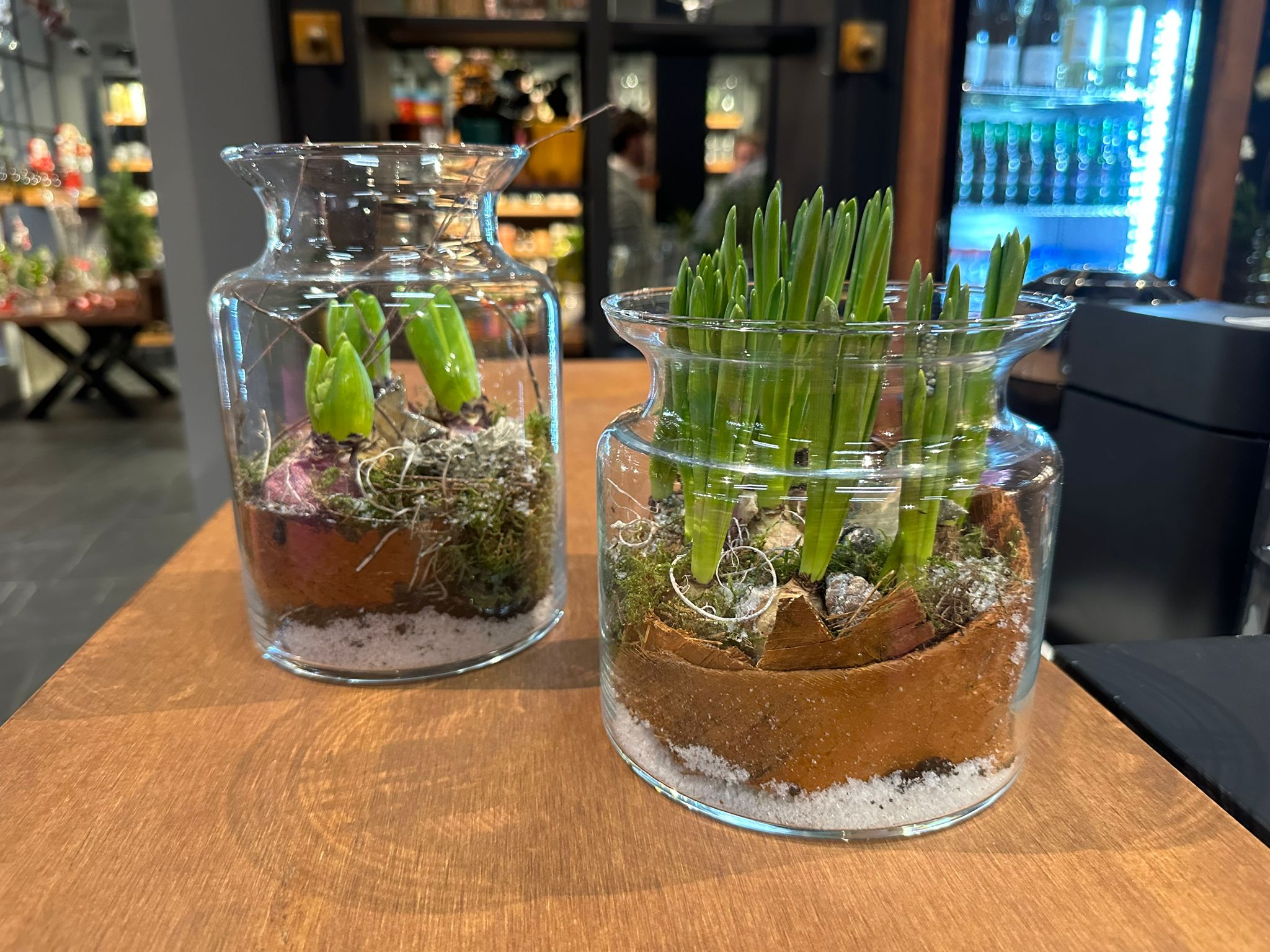 Glasgefäß "RIONA" Blumenvase - Windlicht - Pflanzglas