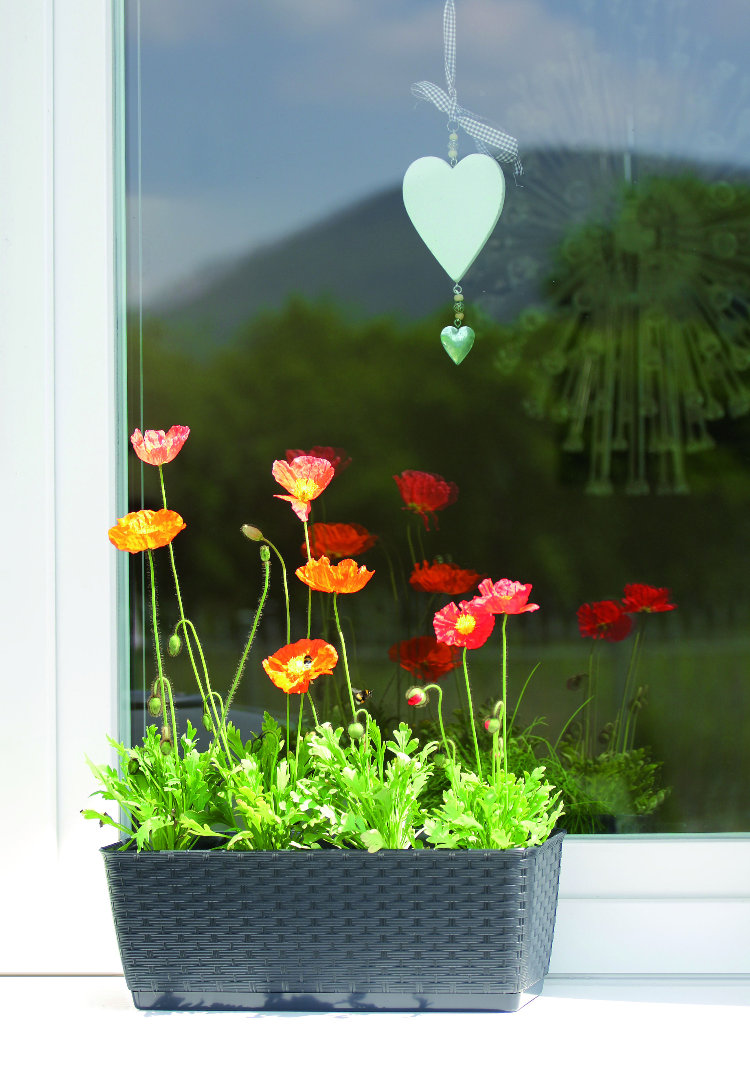 Balkonkasten - Blumenkasten Ratolla aus Kunststoff