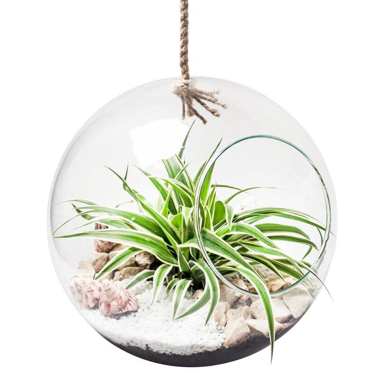 Eco Vase "Olga" mit Seil zum Hängen