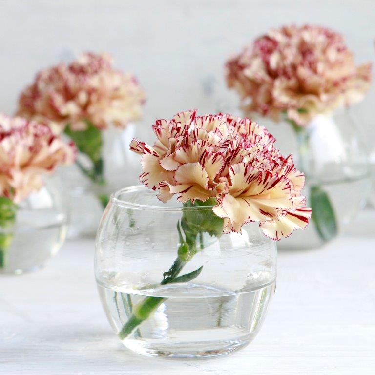Kleine Kugelvase - Kugelglas - Windlicht - Dessert im Glas