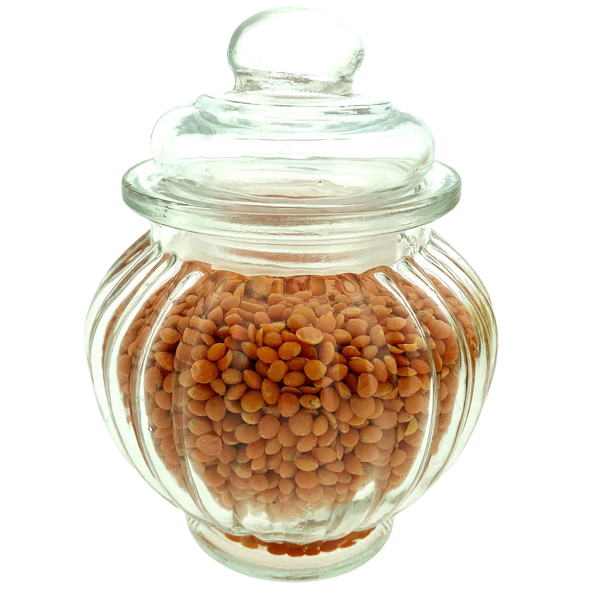 Vorratsgläser mit Deckel aus Glas H 12 cm - 2 Modelle sortiert