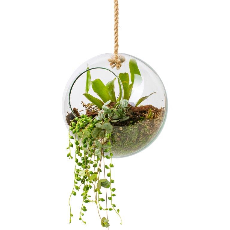 Eco Vase "Olga" mit Seil zum Hängen