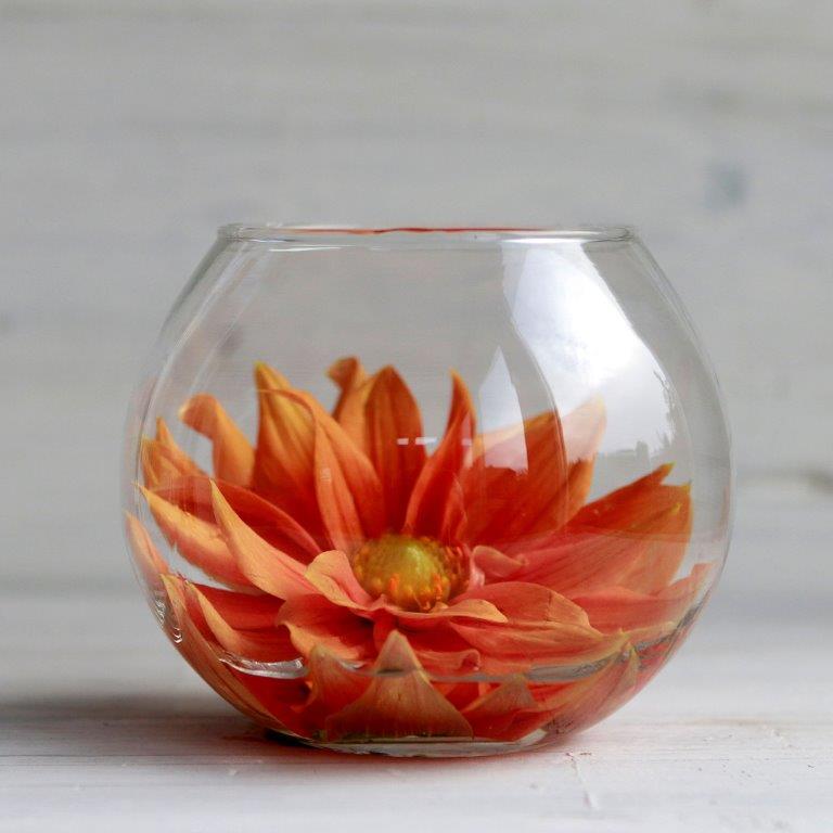 Kleine Kugelvase - Kugelglas - Windlicht - Dessert im Glas