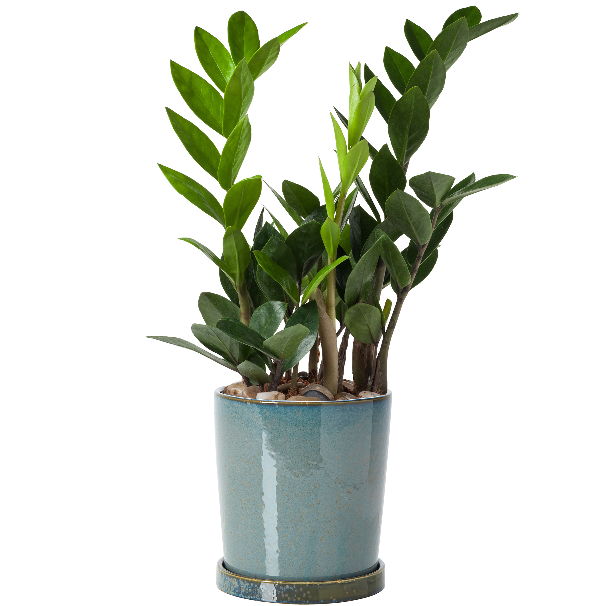 Einzigartiger Blumenübertopf "Paul" mit reaktiver Glasur