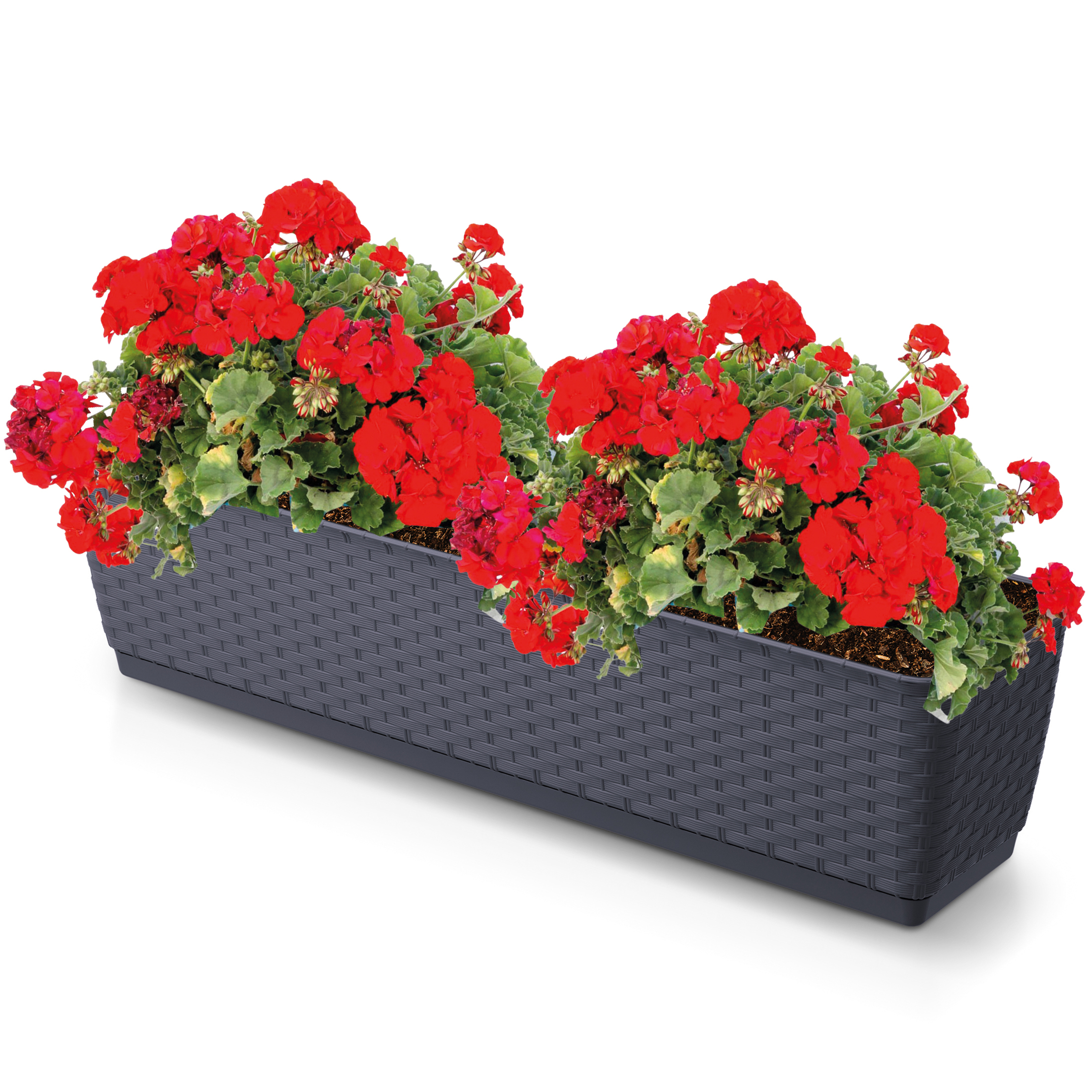 Blumenkasten aus Kunststoff - wetterfest - Modell Ratolla Set